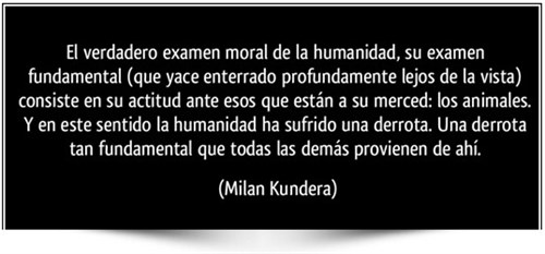 Kundera6