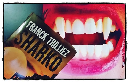 Sharko Franck Thilliez Planeta Rese as De Anika Entre Libros Sharko Franck Thilliez Planeta Rese as De Anika Entre Libros