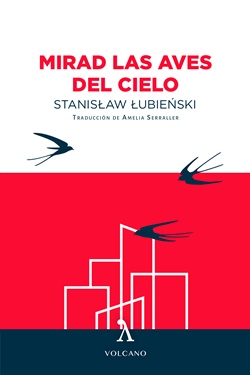 Mirad las aves del cielo Mirad las aves del cielo