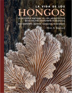 La vida de los hongos