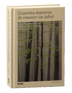 Cuarenta maneras de conocer un árbol